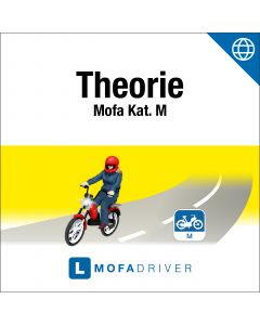 Online: MofaDriver - Theorie Kat. M (dfi)